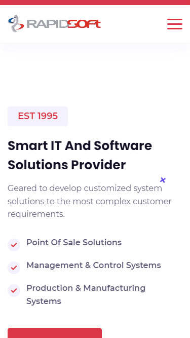 Rapidsoft website Screenshot